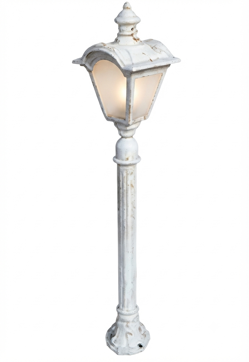 Camera Signal Pole